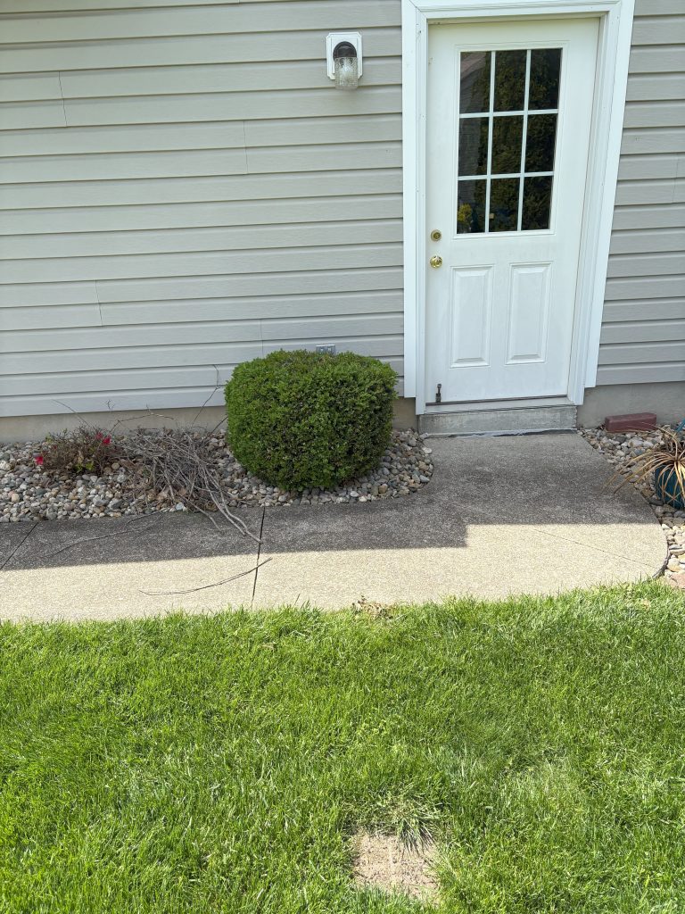 Soft Washing in Illinois